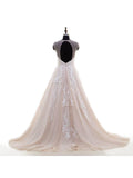 Lace Appliqued Nude Tulle Chapel Train Ball Gown Wedding Dresses,apd2301-SheerGirl