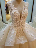 Lace Appliqued Princess Ball Gown Wedding Dresses Pink Bridal Gowns,apd2326-SheerGirl