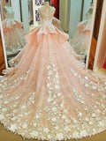 Lace Appliqued Princess Ball Gown Wedding Dresses Pink Bridal Gowns,apd2326-SheerGirl