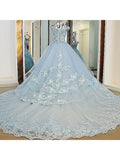 Lace Appliqued Sky Blue Ball Gown Wedding Dresses Off the Shoulder APD2818-SheerGirl