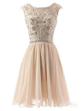 Mini V Neck Champagne Beaded Chiffon Peach Short Homecoming Dresses ARD1487-SheerGirl