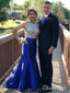 Royal Blue Long Beaded Top Mermaid Prom Dresses Trumpet Pageant Dress APD3361